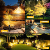 Carvallo Trädgårdsstrålkastare LumiGlow DuoColor | 3000K/6000K Varm- & Kallvit | IP65 Vattentålig | Automatisk Skymningssensor Carvallo