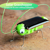Carvallo Solar-Gräshoppa | Rörlig solvarelse för barn | Vetenskapsleksak & presentidé – Utan batteri Carvallo