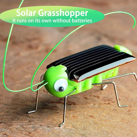 Carvallo Solar-Gräshoppa | Rörlig solvarelse för barn | Vetenskapsleksak & presentidé – Utan batteri Carvallo