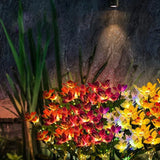 Carvallo OrchidLight Soliga orkidéer trädgårdslampa | LED-landskapsljus | Vattentät & Dekorativ | För trädgård, väg & balkong Carvallo