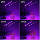 Carvallo Floraviva | LED Grow Light USB | 1–4 Huvuden | 10-Stegs Dimmbar & Timerfunktion Carvallo
