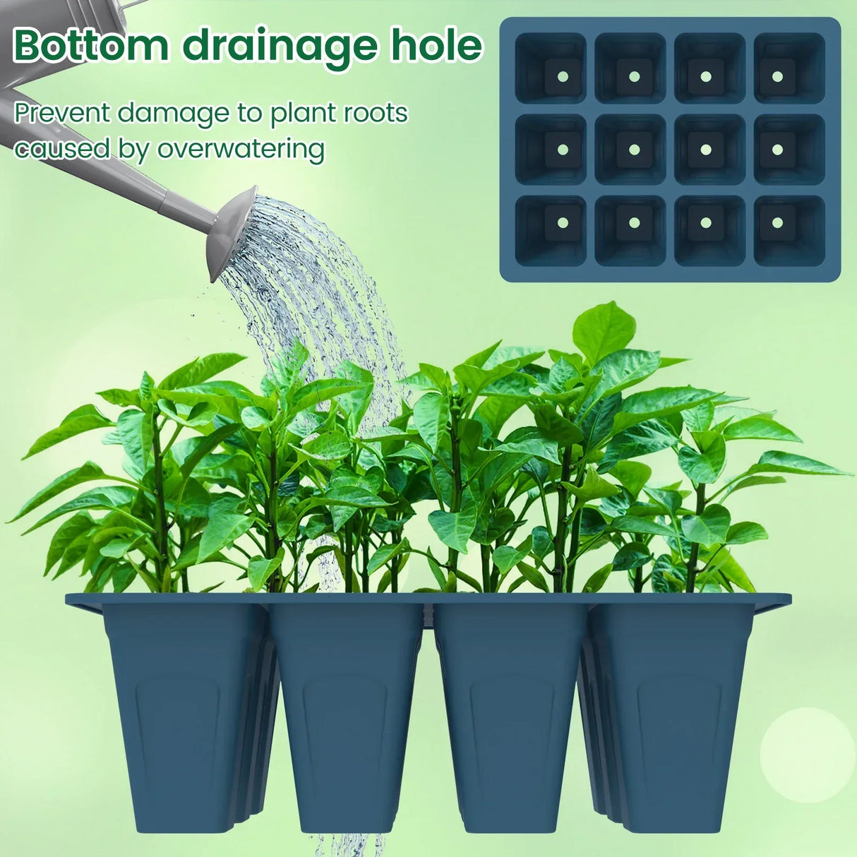 Carvallo Silikon | BPA-free & Reusable | 12 Cells with Drainage | 2-Pack in Black or Dark Green Carvallo