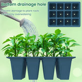 Carvallo Silikon | BPA-free & Reusable | 12 Cells with Drainage | 2-Pack in Black or Dark Green Carvallo