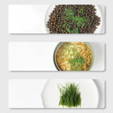 Carvallo Keimschale | Cat Grass Plant Cup | Made of food-safe PP | For wheatgrass, beans & more | Without soil Carvallo