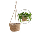 Carvallo Planter | Hand-knotted Macrame | Versatile & Stylish | Jute Natural Carvallo