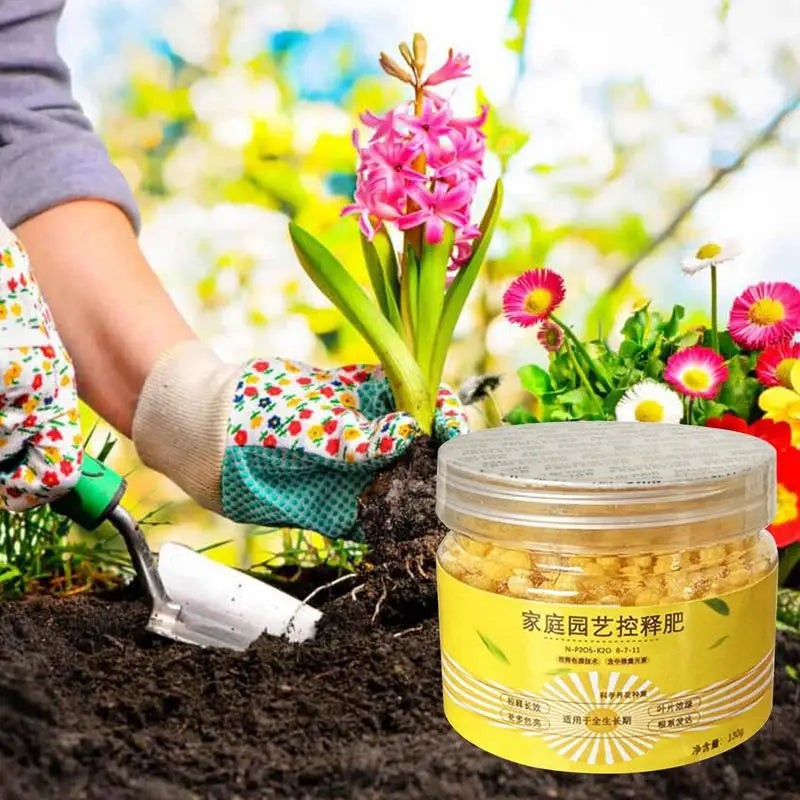 Carvallo Pellets | Långtidsgödsel för suckulenter & inomhusväxter | 120 dagar näringsförsörjning | 130 g / 200 g Carvallo