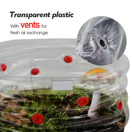 Carvallo svampodlingsset | Uppblåsbar Growbag med luftfilter | Monotub för hemmet & trädgård Carvallo