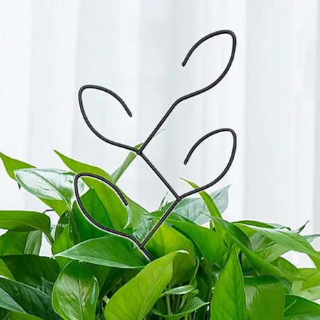Carvallo Metall-växtstöd för inomhusbruk | Rostfritt & Stabilt | För klätterväxter, blommor & murgröna | Dekorativt bladdesign Carvallo