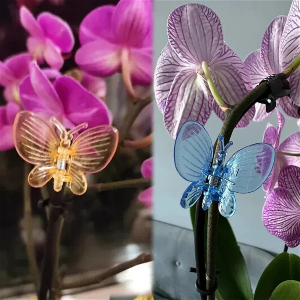 Carvallo 30 stycken orkidé- och växtklipp | Färgade fjärilsclips | För klätterhjälpmedel och växtstöd | Plast Carvallo