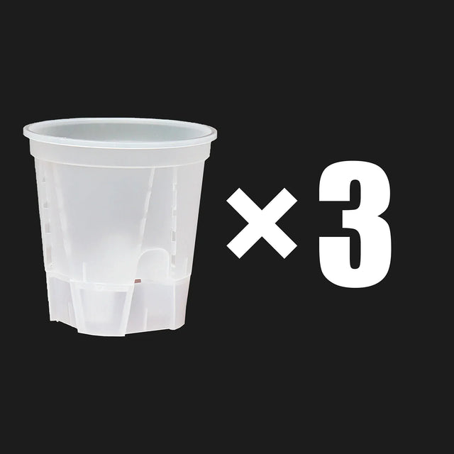 Carvallo Självvattnande Blumentopf | Transparent Design | För orkidéer & inomhusväxter | Med ventilation & vattentank Carvallo