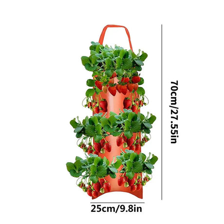Carvallo Planter bag with 4/6/8/10 openings | Hanging & Breathable | For strawberries, tomatoes & herbs | Durable canvas fabric Carvallo