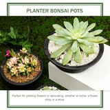 Carvallo Noir Blumentöpper i Koreansk stil | 6-pack | Robust & Dekorativ | Svart Carvallo