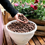 Carvallo Blähton Kulor | Organisk & Återanvändbar | För dränering & Hydroponik Carvallo