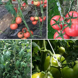 Carvallo J | Återanvändbara J-krokar för tomater och klätterväxter | 9,5 cm / 13 cm / 16 cm | 1–100 stycken | Växtstöd för klättringshjälp Carvallo