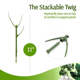 Carvallo växtstöd 3-pack | Stapelbar & Ästetisk | Naturlig look | För inomhus- & trädgårdsväxter Carvallo