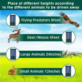 Carvallo Ultrasonisk Fågelavskräckare Solar | Med LED & Rörelsesensor | Vattentät IP58 | 600 m² Täckning Carvallo