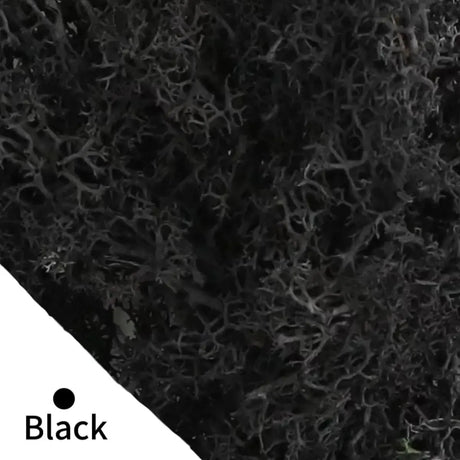 Carvallo Konstgjord mossa Dekogräs | 20 g / 40 g / 100 g | För DIY, miniatyrträdgårdar & hemtillbehör | Eviggrön & underhållsfri Carvallo