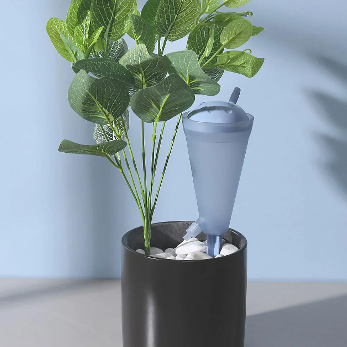 Carvallo Automatisk bevattningstråle | Trattformad & Transparent | Med justerbar vattenflöde – 1 styck Carvallo