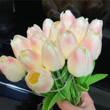 Carvallo - evig elegans i mjukt ljus Carvallo