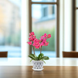 Carvallo Blomkrukor Klara | 5-pack | Med dräneringshål | Transparenta & Stabil – Florvista Carvallo