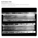 Carvallo Frukt- & Grönsaksform Set | Hjärta & Stjärna | Återanvändbara tillväxtformer i plast | 20 × 6,5 × 4 cm Carvallo