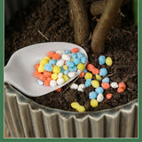 Carvallo Långtidsnäring för Krukväxter | Universalgödsel i Granulatform | NPK-formel med Kväve, Fosfor & Kalium Carvallo