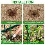 Carvallo Pro | 20-pack växtstöd | Stabilt & Mångsidigt | För tomater, gurkor & klätterväxter Carvallo