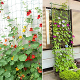 Carvallo Växter-Klätternät 10 m | Robust & UV-beständigt | Platsbesparande Stöd för Grönsaker & Blommor Carvallo