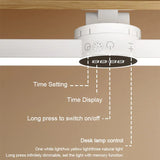 Carvallo-skrivbordslampa ClarioMag | Med klocka & väckarklocka | Magnetisk & USB-uppladdningsbar | Steglöst dimbar | 35 cm Carvallo