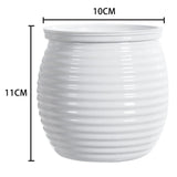 Carvallo Hydroponisk Blomkruka | Självbevattnande & Modern | För Inomhusväxter | 3-pack Carvallo