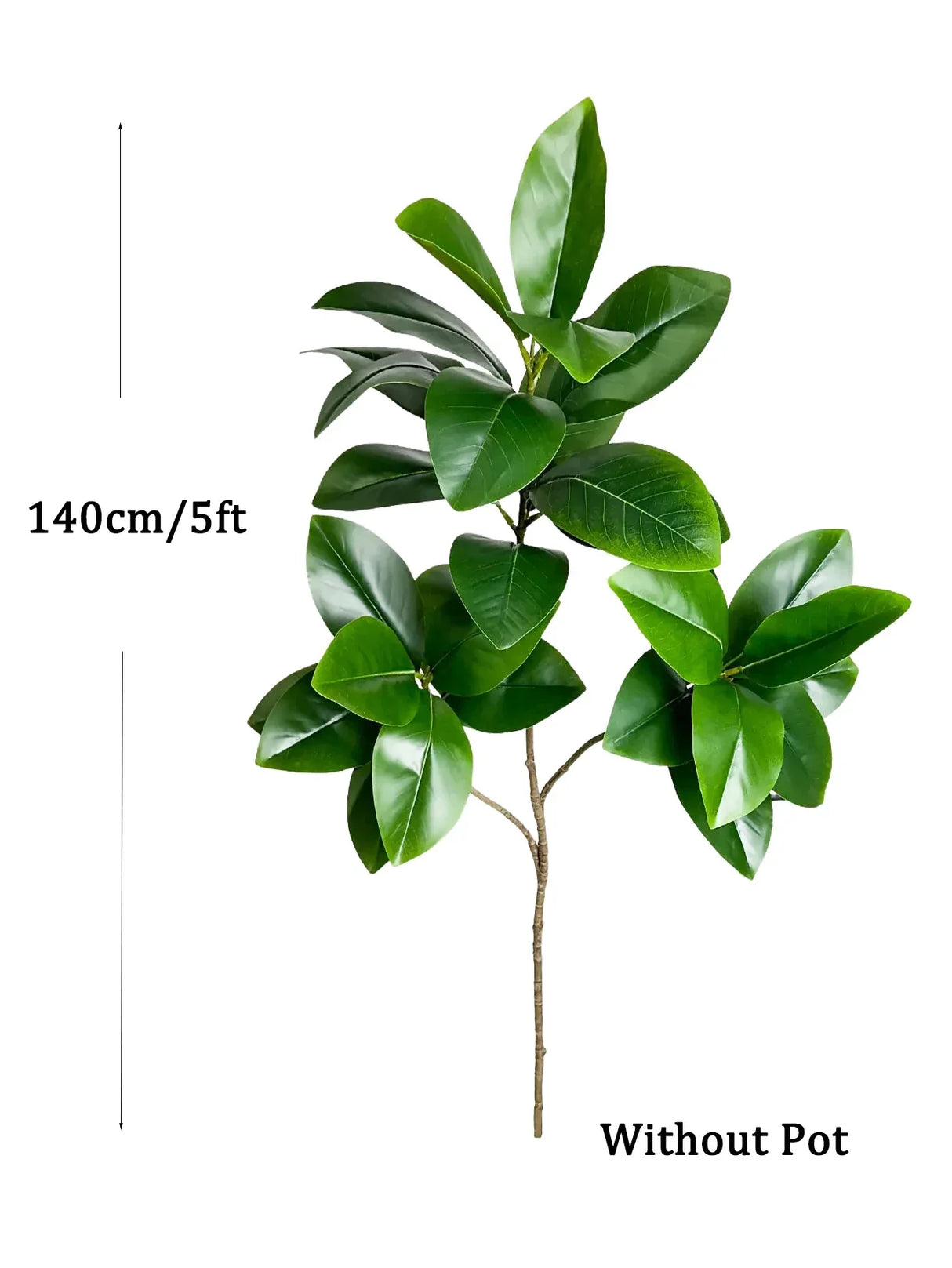 Carvallo Evergrünia | Gummiträd Ficus | 70–135 cm Höjd | Naturtroget utseende för inomhus & utomhus Carvallo