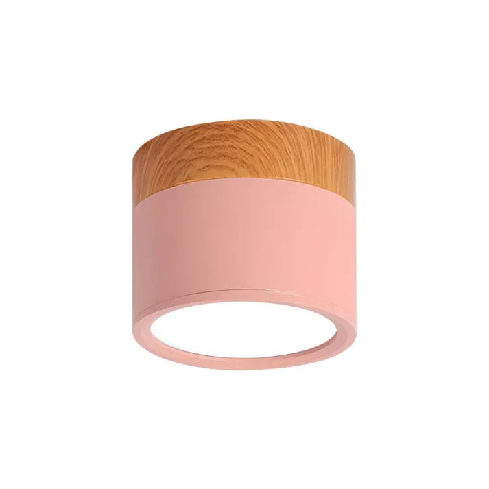 Minimalistisk Skandinavisk Cylinder LED Takarmatur Carvallo