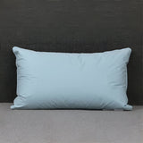 SleepEase Kudde - Premium Ortopedisk Fjäderkudde Carvallo