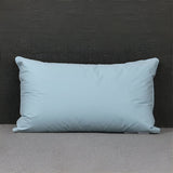 SleepEase Kudde - Premium Ortopedisk Fjäderkudde Carvallo