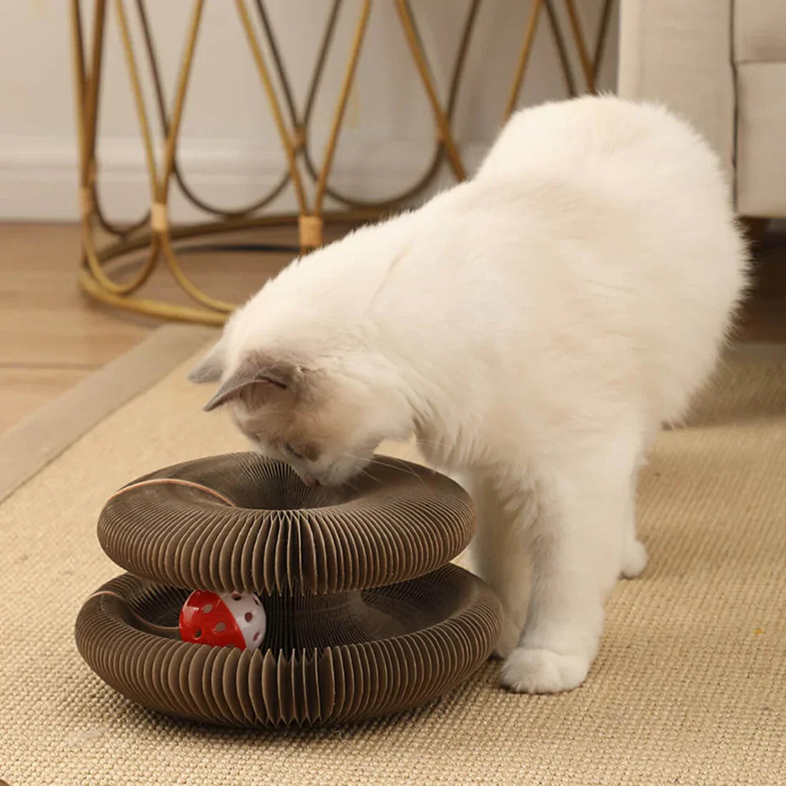 Furora Expandable Katt Klösleksak med Interaktiv Bollarbana & Mysig Säng Carvallo