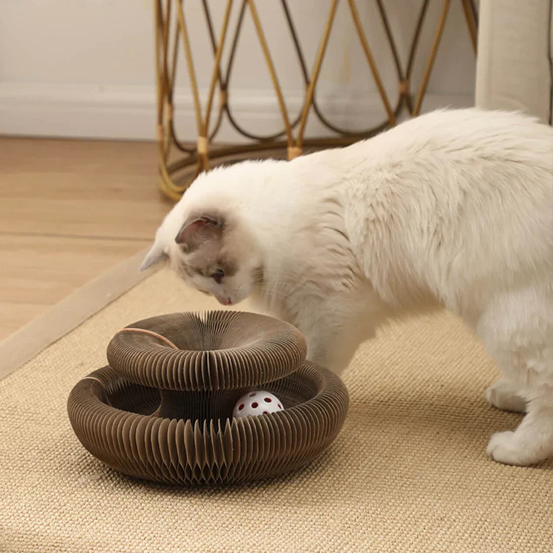 Furora Expandable Katt Klösleksak med Interaktiv Bollarbana & Mysig Säng Carvallo
