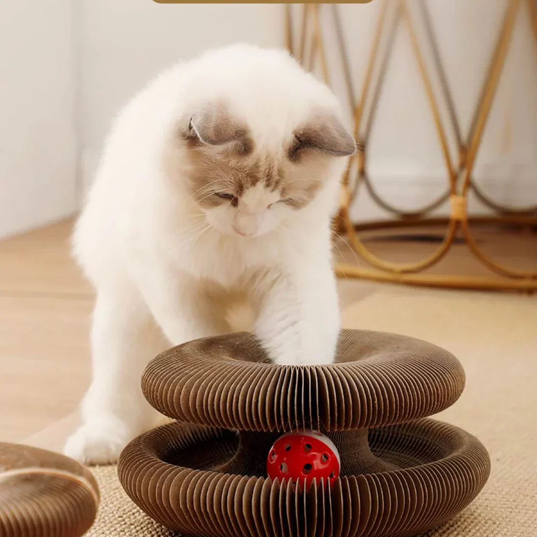 Furora Expandable Katt Klösleksak med Interaktiv Bollarbana & Mysig Säng Carvallo