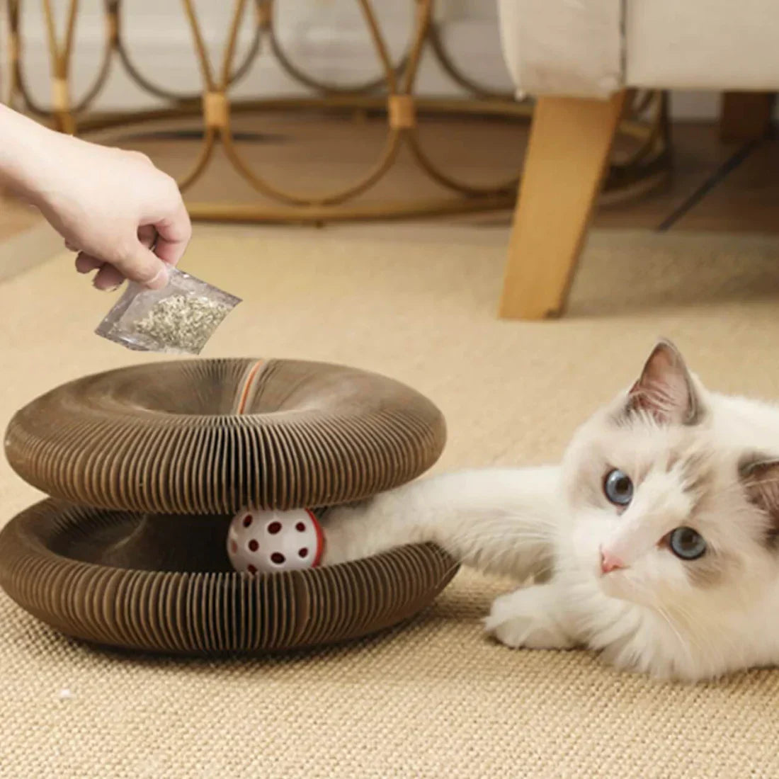 Furora Expandable Katt Klösleksak med Interaktiv Bollarbana & Mysig Säng Carvallo