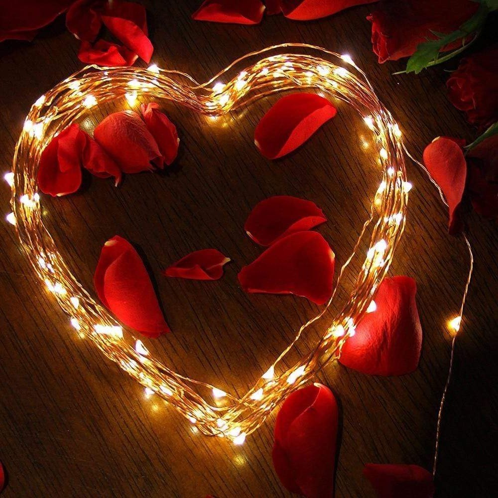 RoyaleGlow String Solar Lights Utomhus (Klar Kabel) 42M Carvallo