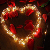 RoyaleGlow String Solar Lights Utomhus (Klar Kabel) 42M Carvallo