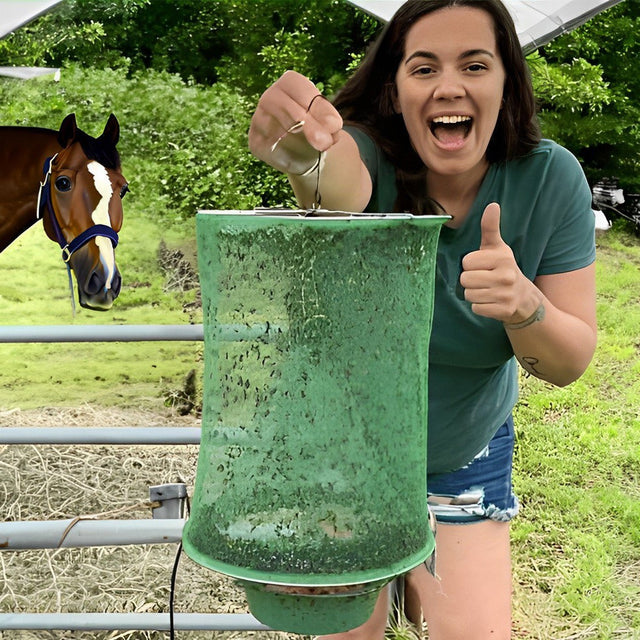 Royaleva Miljövänlig Stabil Fluggång för Utomhusbruk Carvallo