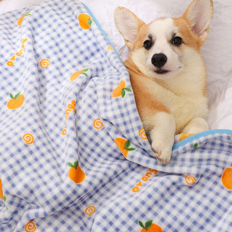 Mysig flanell husdjursfilt Mjuk Färgglad Mångsidig användning Carvallo