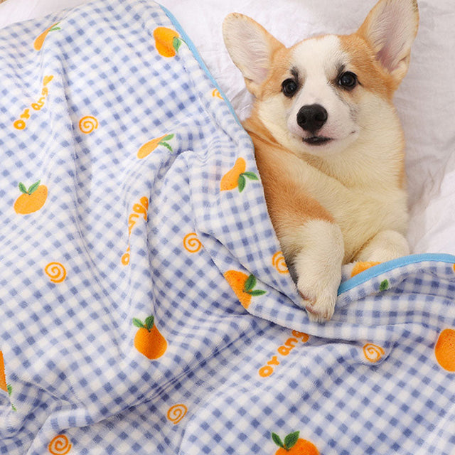 Mysig flanell husdjursfilt Mjuk Färgglad Mångsidig användning Carvallo