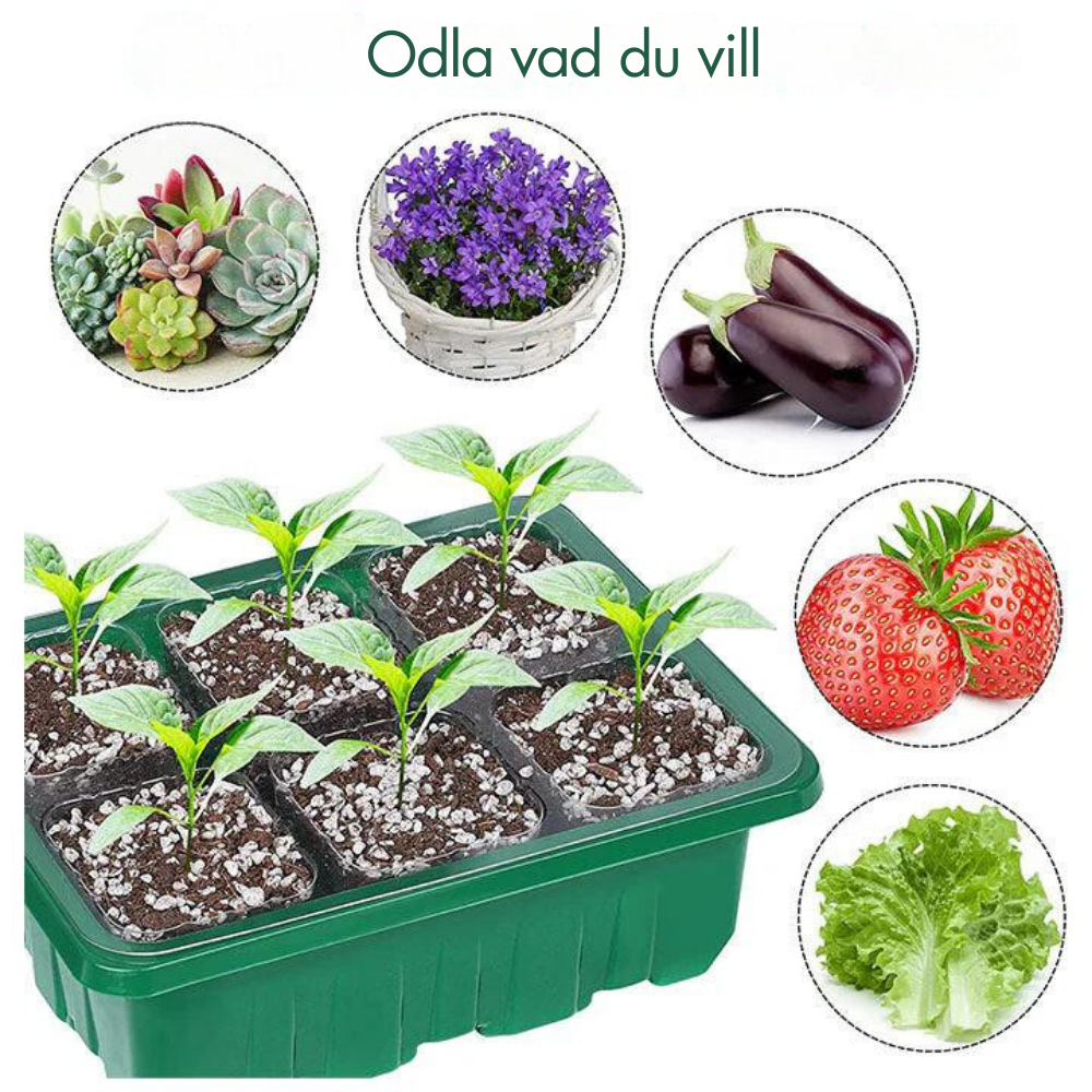 Inomhusväxthus med LED och luftcirkulation-VaruZ-Hemnix