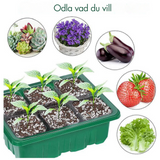 Inomhusväxthus med LED och luftcirkulation-VaruZ-Hemnix