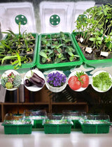 Inomhusväxthus med LED och luftcirkulation-VaruZ-Hemnix