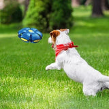 Pawelux Interaktiv Doggy Disc Boll - Säker, Studsig Hämta Leksak för Hundar Carvallo