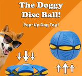 Pawelux Interaktiv Doggy Disc Boll - Säker, Studsig Hämta Leksak för Hundar Carvallo
