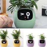 Rayvia Smart Blomkruka med AI-sensorer – Interaktiv Krukväxt för Enkel Växtskötsel Carvallo
