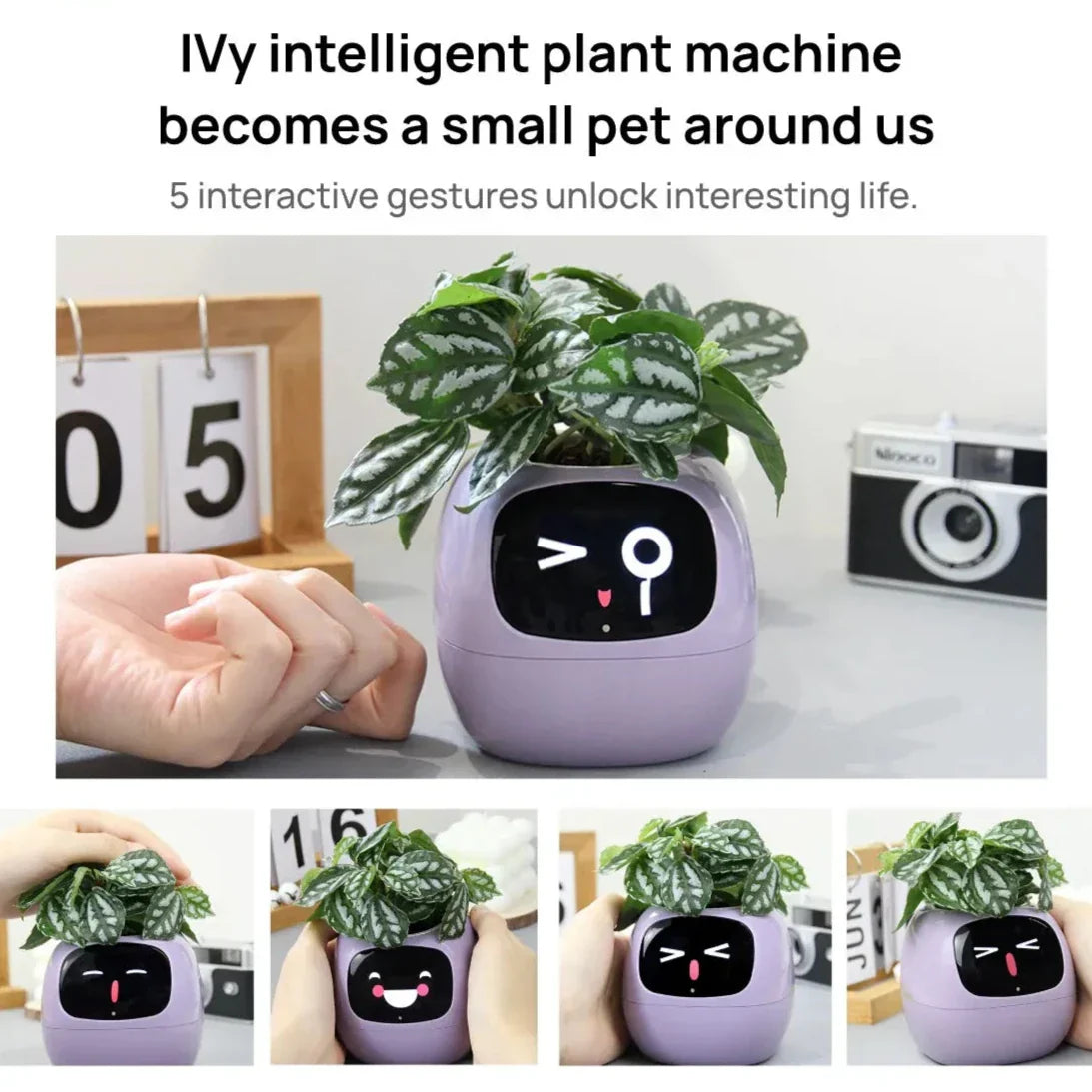 Rayvia Smart Blomkruka med AI-sensorer – Interaktiv Krukväxt för Enkel Växtskötsel Carvallo